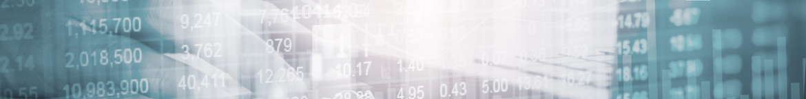 Investor